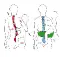 Side Ride Baby Hip Side Carrier diagram